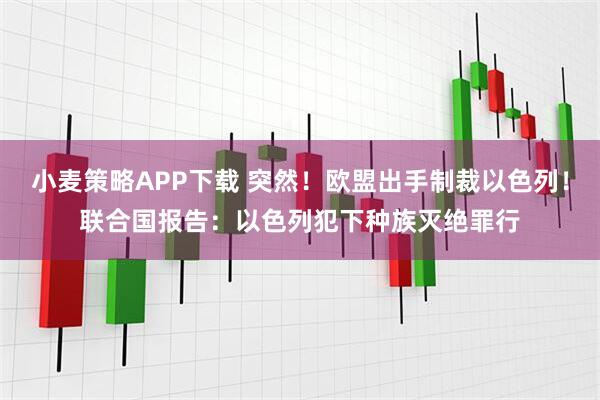 小麦策略APP下载 突然！欧盟出手制裁以色列！联合国报告：以色列犯下种族灭绝罪行