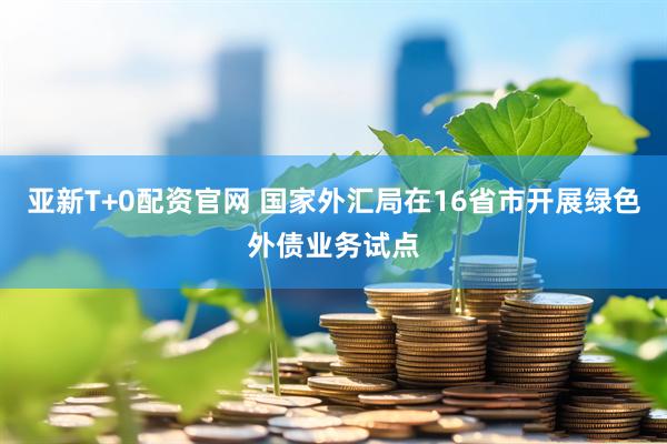亚新T+0配资官网 国家外汇局在16省市开展绿色外债业务试点