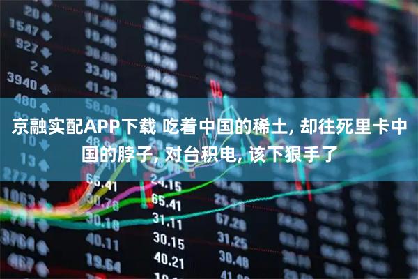 京融实配APP下载 吃着中国的稀土, 却往死里卡中国的脖子, 对台积电, 该下狠手了